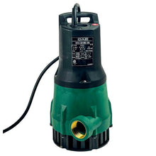 Leader Ecovort Manual Submersible Pump