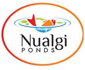 Nualgi Ponds Safe Pond Algaecide Alternative