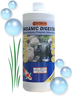 Strata Organic Digester By Greentech