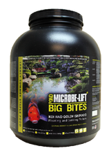 Microbe Lift Big Bites Summer