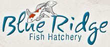 Blue Ridge Large Pellet Growth Fish Food